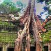 Angkor ja Siem Reap  &nbsp;</br>alfaneque (CC BY 2.0)&nbsp;</br> <a class='lightboxmore' href='/matkagalleria'>Lisää kuvia matkagalleriassa</a>
